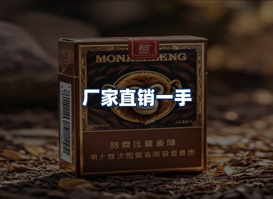 专业团队办公环境